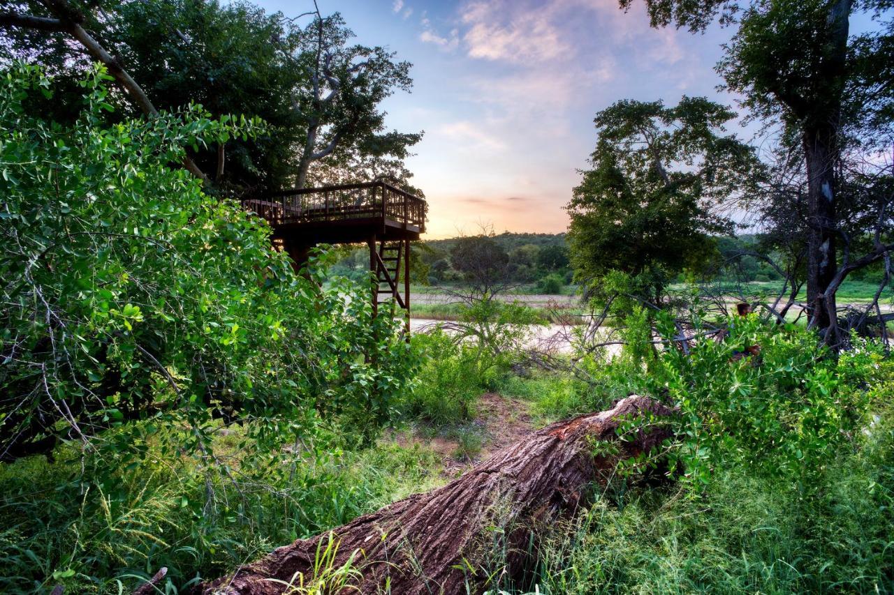Emhosheni River Lodge Balule Game Reserve Exterior photo
